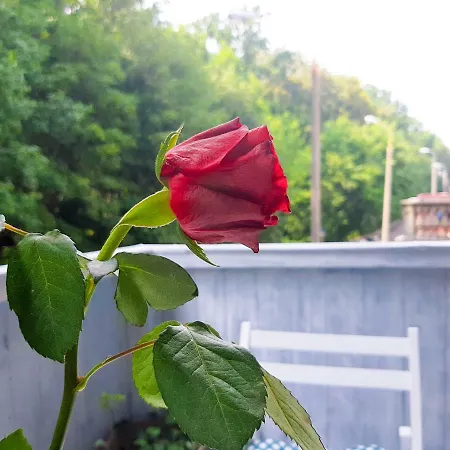 Sobieski Apartment *